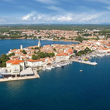 House Topal With Pool In Porec For Max 21 Persons